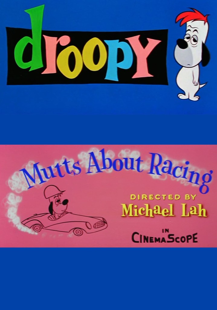 Mutts About Racing streaming where to watch online?